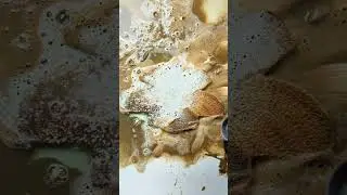 Deep Cleaning a Tiny Carpet &ndash; So Relaxing #shorts