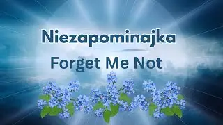 Niezapominajka ( Forget Me Not)  💙🌸 #gothic #music