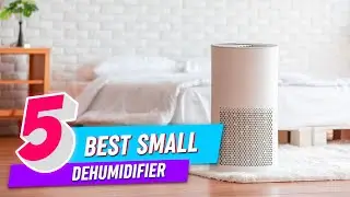 Top 5 Best Small Dehumidifier Review in 2022