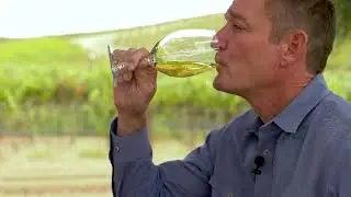 Building your Wine Cellar with Robbie Meyer and Phil Wente
