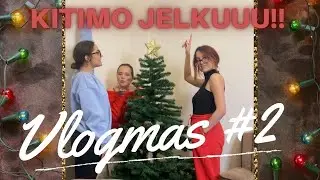 VLOGMAS 2 - KITIMO NAJLEPSU JELKU