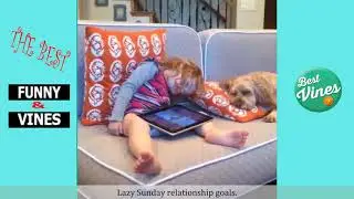 Top 200 Highlights of Animals on Vine   FUNNY Animals 67