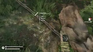 Green Hell Survival A New Beginning