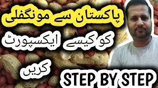 How to export Peanut from Pakistan ||Pakistan say Peanut ko Kaisey export Krain || Business idea