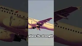 Why Plane Windows Don&rsquo;t Line Up!#aviation #facts