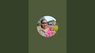 Maria Lena est&aacute; ao vivo!
