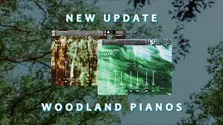 Woodland Pianos Update + New Projects