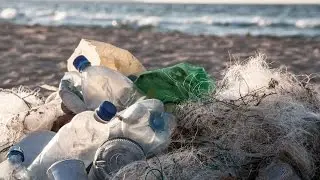 Plastic in Our Oceans