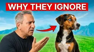 You Don’t Need More Dog Training — You Need This Instead