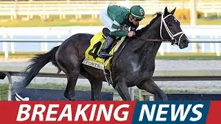 Street Beast's DOMINANT Win Is He the NEW Kentucky Derby Favorite । USA NEWS TODAY