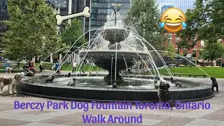 Berczy Park Dog Fountain Toronto, Ontario - Walk Around