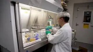 Testing a new frontier of therapies that aim to fix autoimmune diseases