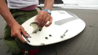 Partes de una tabla de Surf.