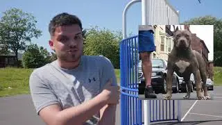 BULLY TV UK EPISODE 1 HOWARD SPARTA BULLIES