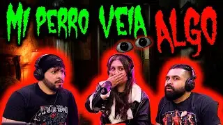 Mi perro ve&iacute;a algo ve&iacute;a algo en el espejo | Le hicieron un trabajo a mi pap&aacute;