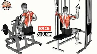 Top 6 Back Exercises at Gym for Massive Muscle Growth