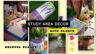 Decorating study area with indoor plants...✨🧿 | Garden Find Count | indoor and outdoor plants