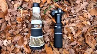 Review Canon rf800mm f/11 IS STM