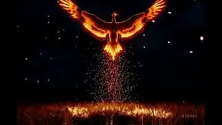 Wings of the Phoenix 🎧 Midage 🔥 Epos ✨ EDM 💥 Bassdrop