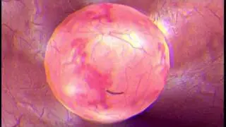Ciprodex&reg; OTIC Medical Animation - Stereoscopic version in COLORCODE3D&reg;