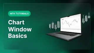 XM.COM - MT4 Tutorials - Chart Window Basics
