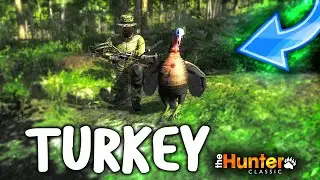 KAMUFLIRAO SAM SE ZA LOV NA ĆURKE! LUK I STRELA | theHunter Classic