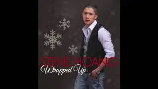 Stevie Hoang - Wrapped Up (Audio)