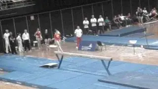Cui Jie beam 2009 AYOF