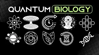 20 Minutes of Quantum Biology to Fall Asleep to