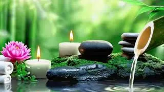 Healing Music for the Heart & Mind 🌿 Bamboo Water Sounds for Deep Sleep & Stress Relief