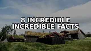 8 Incredible Facts About Sustainable living tips and green habits