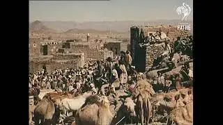 BRITISH ARMY DURING THE ADEN INSURGENCY (1963).