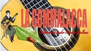 LA GOMMALACCA: dalla natura il meglio per la lucidatura della chitarra.