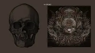 MESHUGGAH - The Hurt That Finds You First [ISOLATED DRUMS] KOLOSS