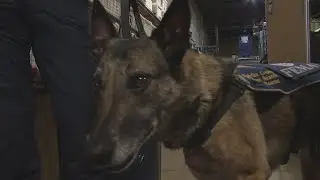 Virginia Task Force One returns from Texas flooding