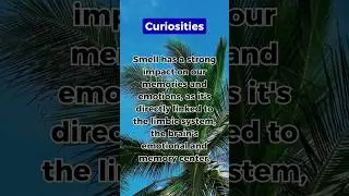 Explore Aromas that Evoke Memories #emotions #curiosity #curiosities