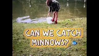 We Caught Minnows! 🐟 From Pond to Fish Tank | Family Country Adventure
