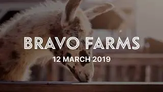 Bravo Farms: Traver, Ca