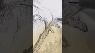 Sketching Nature with the Pentel GraphGear 1000