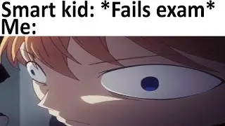 Daily Meme Supplies 530
