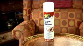 Zep Commercial Instant Spot and Stain Remover