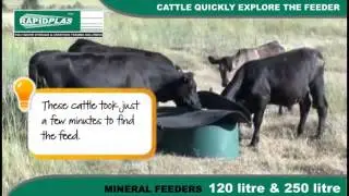 Video  Cows feeding from Mineral Feeder