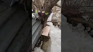 +901р. Дмитрий Александрович П. СПАСИБО!!! на Сбербанк 2202203654418625 Елена К. 11 февраля 2026г.