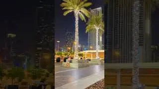 Amazing Dubai Vibes ❤  #dubai #dubailife #dubaicity #dubaitag #dubai