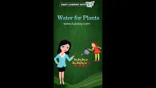 Water for Plants | Basic Needs of Living Things | Air, Water, Food and Shelter | Science #shorts