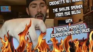 Crockett's Hot Review. The Skyline High Quality Acoustic & Ultra Slim Speaker from Five Below!