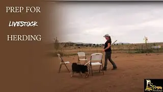 PSR Stockdogs Online Training - Pole Work - Adding Directions