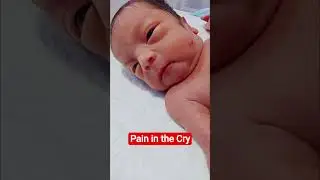 The Most Innocent Cry You&rsquo;ll Hear Today 👶💞