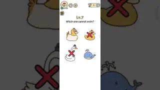 Brain Boom Walkthrough & Solutions Level 7