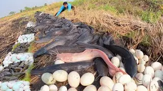 Best hand fishing a fisherman catch a lot of fish by hand skill